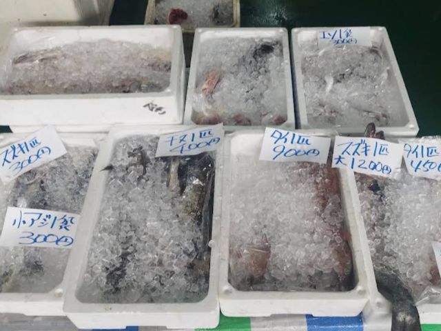 販売様子
